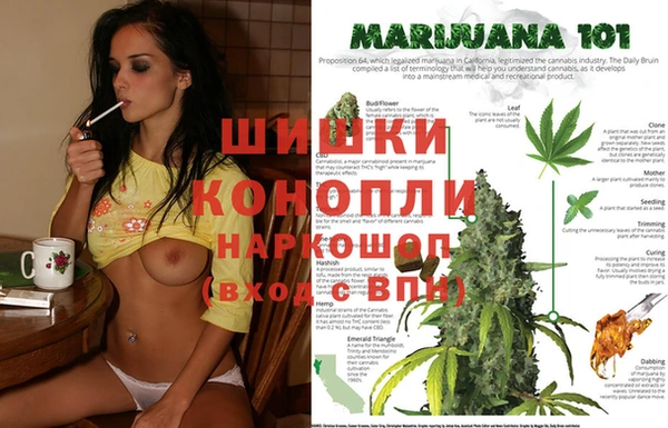 хмурый Нея