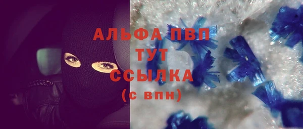 хмурый Нея