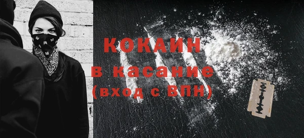 хмурый Нея