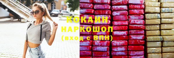 хмурый Нея