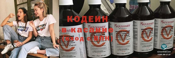 хмурый Нея