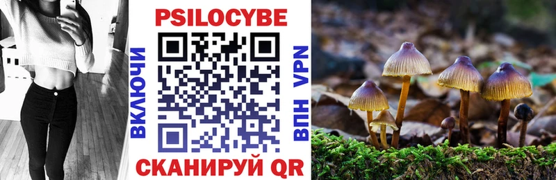 где купить наркотик  Аша  Псилоцибиновые грибы мухоморы 