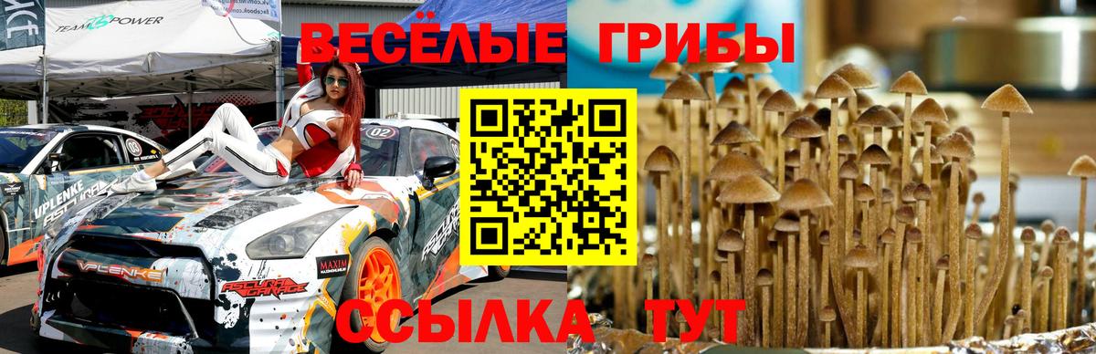 Аша  Псилоцибиновые грибы ЛСД  Вход с VPN 