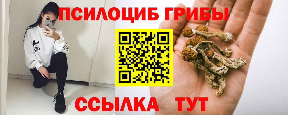 Галлюциногенные грибы прущие грибы Аша